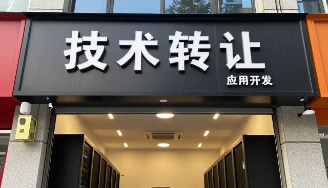 技术交付中的关键考量与价值实现